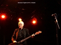 Dr.Feelgood (8)